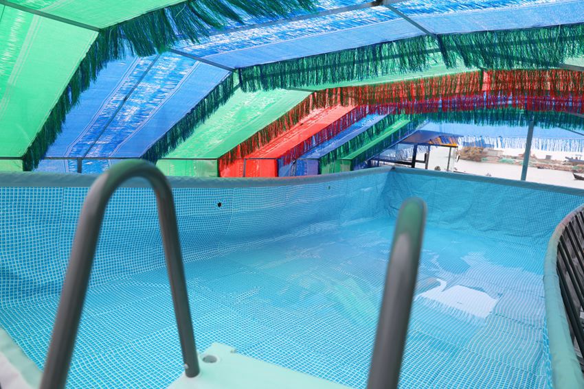 鳳鳴島民宿酒店