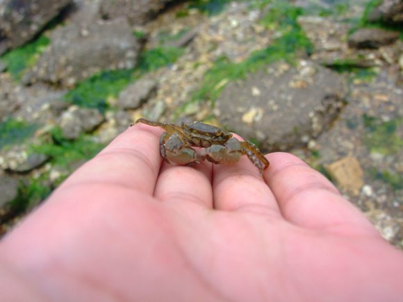 哈仙島金囍緣漁家樂