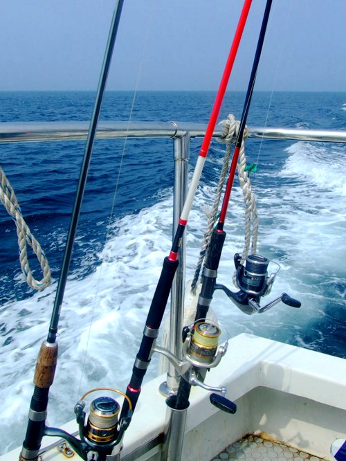 褡褳島萬家小院