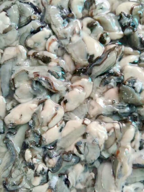 褡褳島萬家小院