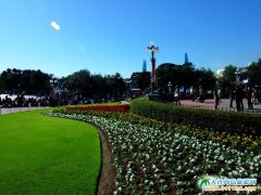 日本旅游圖片—綠意縈繞的迪士尼樂園