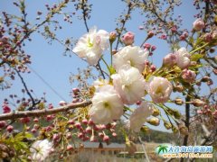 ���203�ѻ��@�����p�ѻ�һ����45Ԫ