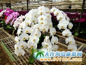 ���B�����^����