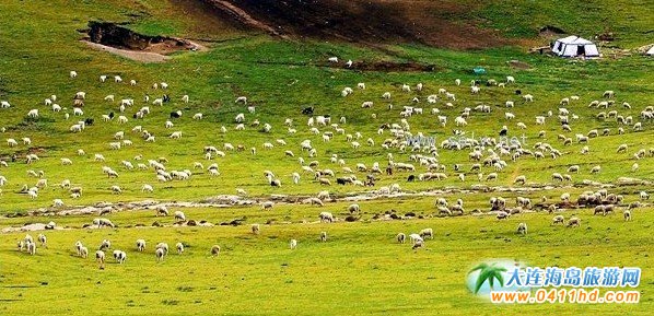 點擊查看源網頁