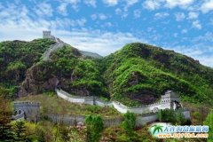 ﹝|﹝|PɽΣ﹝|G