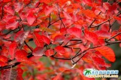 �˗l�����¾����p�����t�~ �������˶ྰ�c������