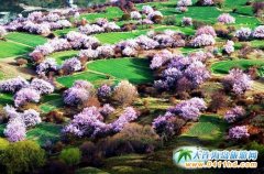 �������������С�� ֵ��һȥ