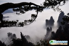 ȥ���ҽ����� ��һ���Ƶļs��