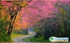 ̩ξcԡ̩@Щ֪ؾׂ֪