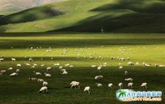 BԭBԭЩLຣǂԭã