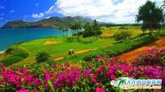 8���ɹ����ι��ԣ�8���ɹŶ�����Щ�����