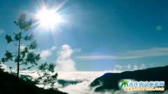 �_��̫ƽɽ����ɭ���Θ��^�����С����g�ɾ��������Q