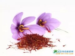 ϰݲؼtُIϰݲؼtôI