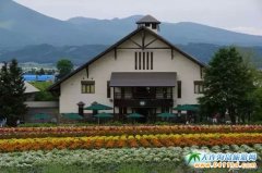 9����10���ձ����������ι���