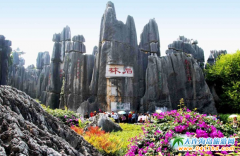 ʮһ6ʮһΈFʮһΈF