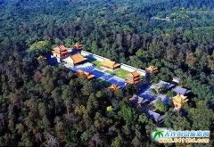 ʮһ|ʡξ·]ʮһ{ξ·]