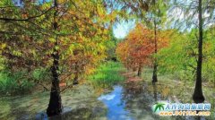 �_���������]���_����ֵ��һȥ������