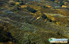 ��Ĵ�ص��ܽ�������Ԫ�����