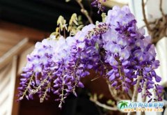 ���ڲ����� ��ɫ�����Ī����Σ������^�����e�^!