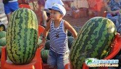 ����28�����Ϲ�(ji��)���ڱ������d�����f����С�(zh��n)�_Ļ