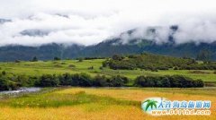 ��֥�����ǱȌ��� ����͸���������Ұ����Ó