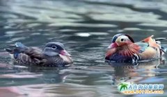 BL(zhng)ɽΡL(zhng)ɽ:cĐ(i) x