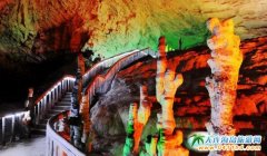 �����B�����ҽ����Ρ�ˇ�g�W�\�����������ҽ����� �S�����ɽ���