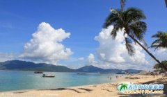 BΡct(y)a(chn)ƷͶǢ(hu) ɴa(chn)I(y)