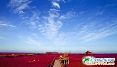 �P�\�t���� ��ɽǧɽ��������ΈF(tu��n)ُ(g��u)�r(ji��)��