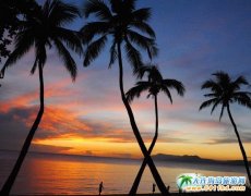 2017�궬�����B�����������������؃r�F