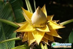 2017�괺�����B���������������������؃r�F