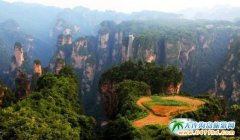 ȫ���ׄ�ɭ�����η�ؚ������ 2016���ҽ���Hɭ�ֱ��o���_Ļ