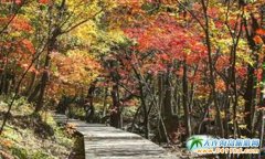 ؑcO(sh)ʾ^(q)    Ӵؑcη(w)|(zh)