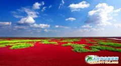 ʡeOMήa(chn)I(y)cĿO(sh)