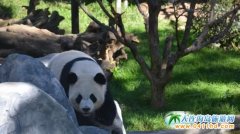 ����Ұ������@ ���λ ��С�W�t����؈ë������