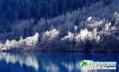 ��կ�ϵĶ��죬�@�G�˕r��