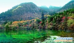 �Ĵ󾰅^�����ƏV�������ĺ�����������Ʒ�ƣ�