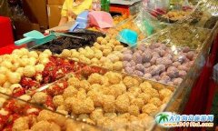 2017�_����؛������������ο�