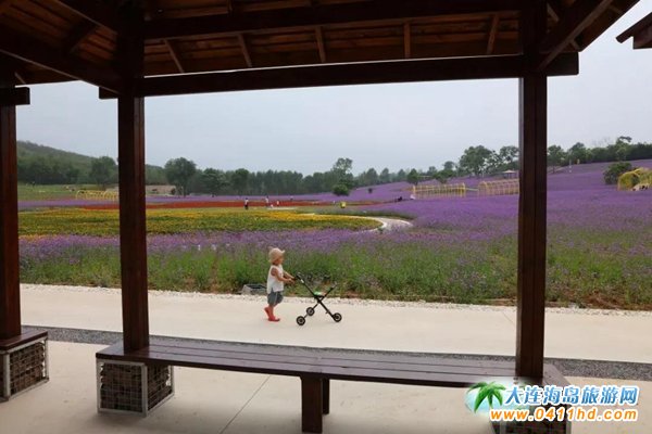 ��ʯ������