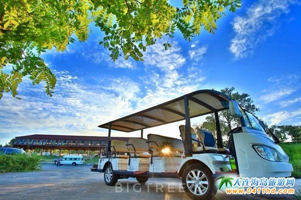 ��ʯ������