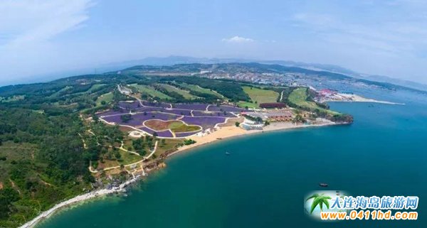 ��ʯ������