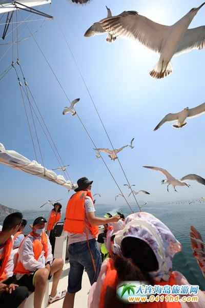 小平島圣汐灣國(guó)際游艇俱樂(lè)部