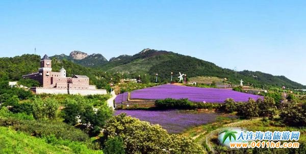 大連紫云花汐薰衣草莊園