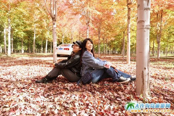 三十里堡彩葉林