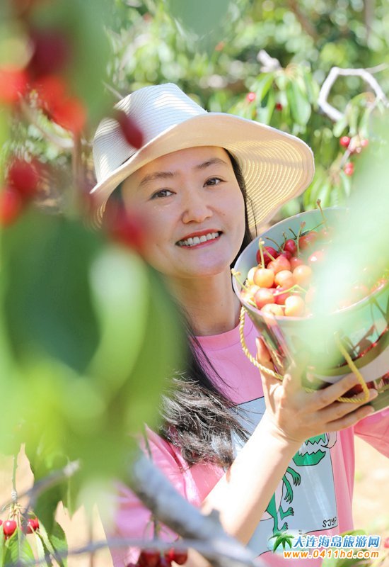 2023���B����Ҳ�ժ