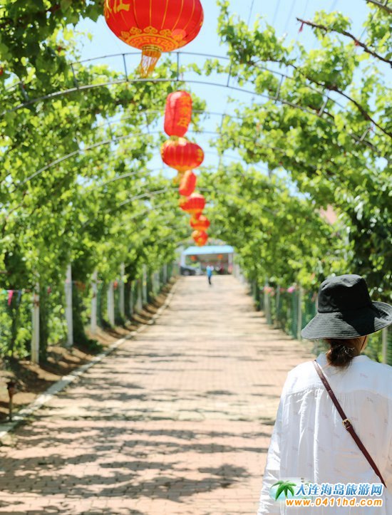 2023���B����Ҳ�ժ