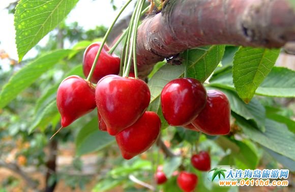 2023���B����Ҳ�ժ