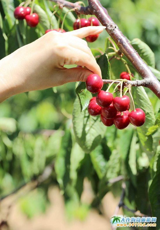 2023���B����Ҳ�ժ