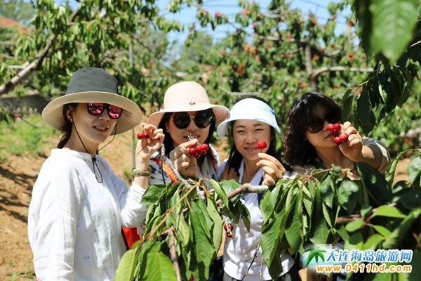 2023���B����Ҳ�ժ