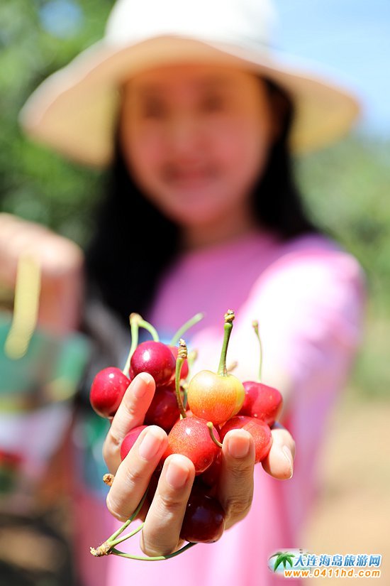 2023���B����Ҳ�ժ